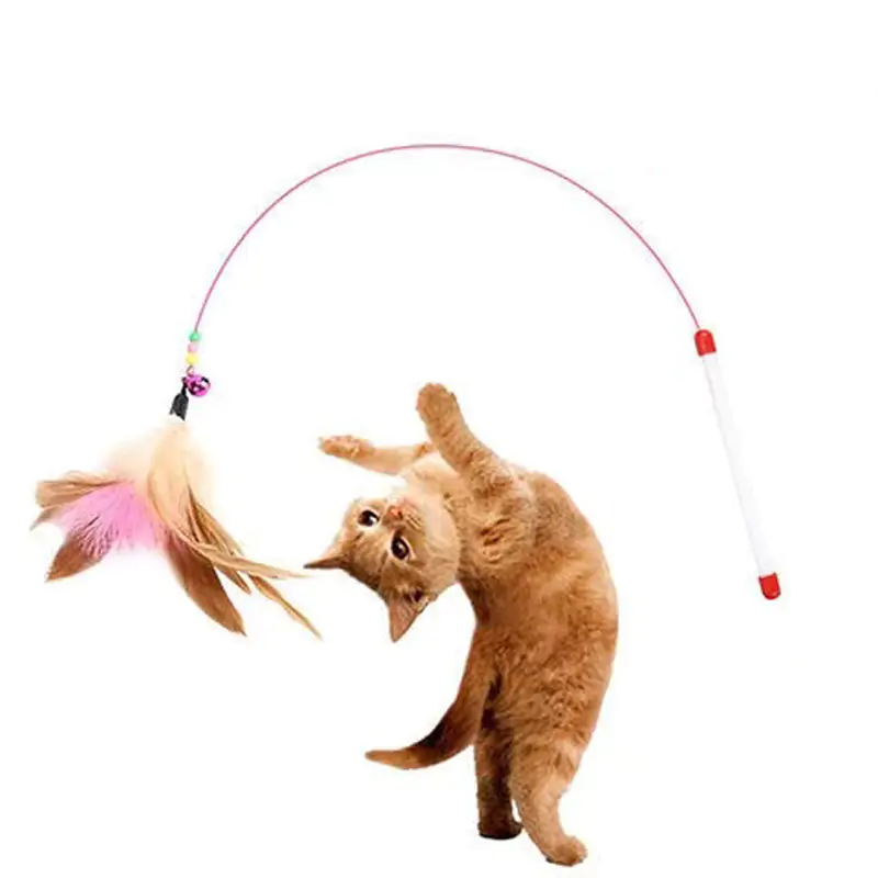 Cat Toys and Accessories