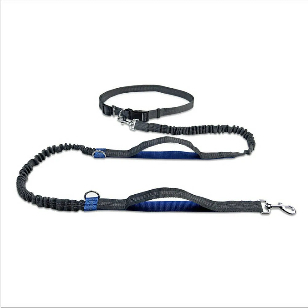 Shine Bright: Reflective Rope Leash for Dogs
