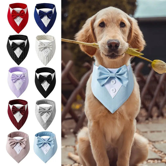 Tuxedo Bow Tie for Pets: Stylish and Sophisticated Attire for Your Furry Friends"
