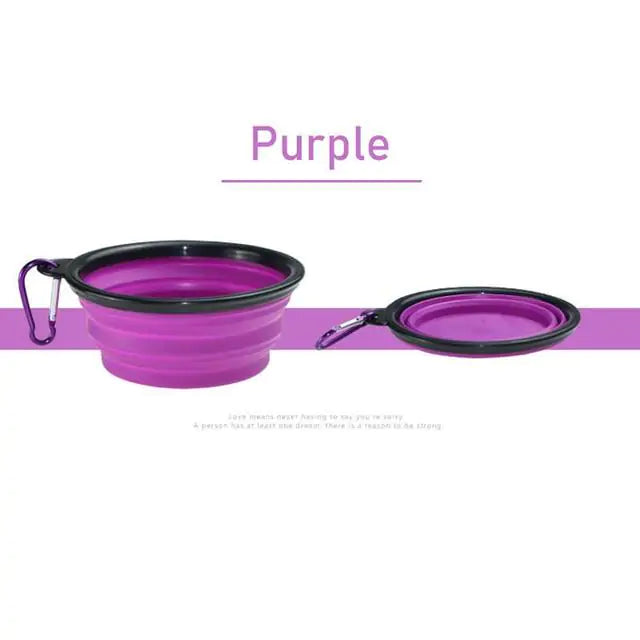 Adventure-Ready: Travel Dog Bowls for On-the-Go Convenience