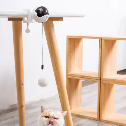 Engage and Entertain: Automatic Lifting Motion Cat Toy