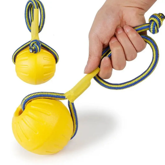 Indestructible Rubber Chew Ball with Rope