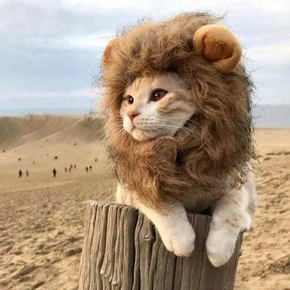 Feline King: Cute Lion Mane Cat Costume