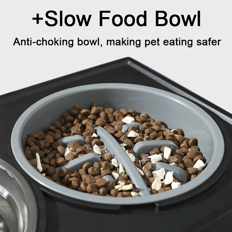 Elevated Dining: Deluxe Dog Bowl Holder with Stainless Steel and Slow Feeder Bowl