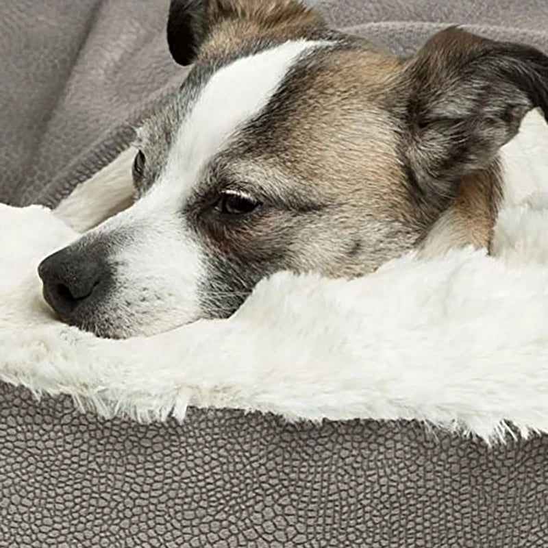 Ultimate Comfort: Orthopedic Bed for Dogs