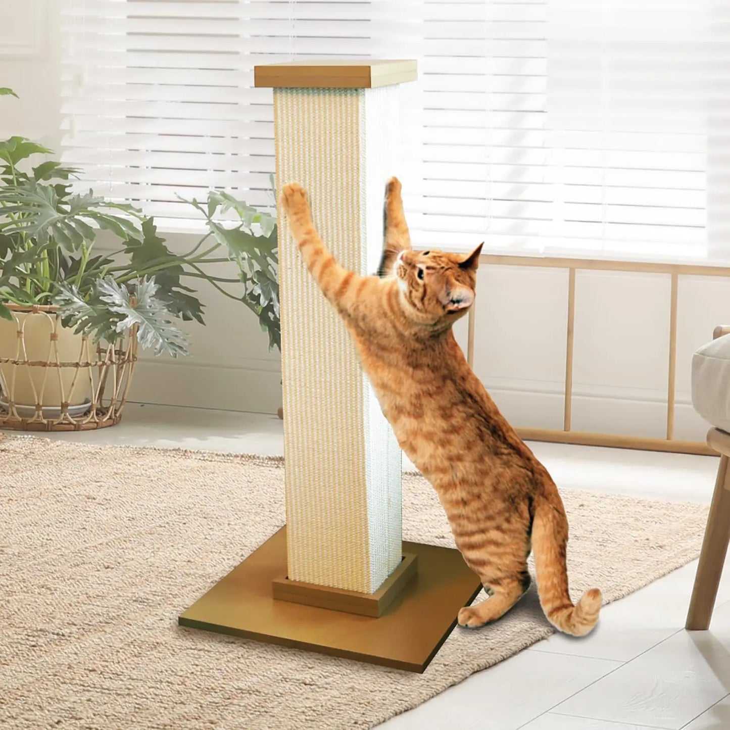 Claw Tower: The Ultimate Cat Scratching Pole for Healthy Nails and Fun!