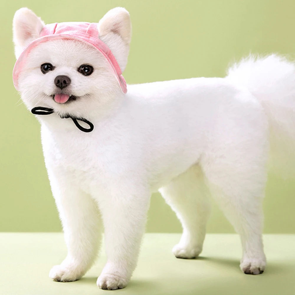 Cozy Cap: Adorable & Stylish Headwear for Small Dogs!