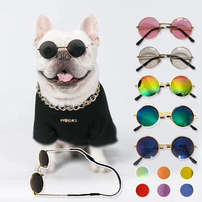 The Ultimate Pet Sunglasses Collection
