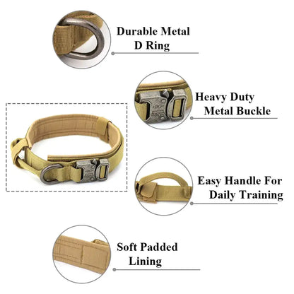 Mighty Paws: Large Dog Collar & Leash Set for Strength and Style