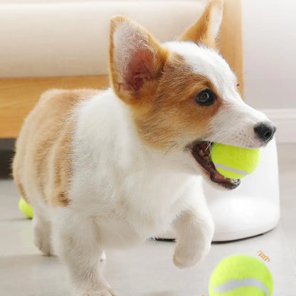 FetchMaster Pro: Automatic Tennis Ball Launcher for Dogs