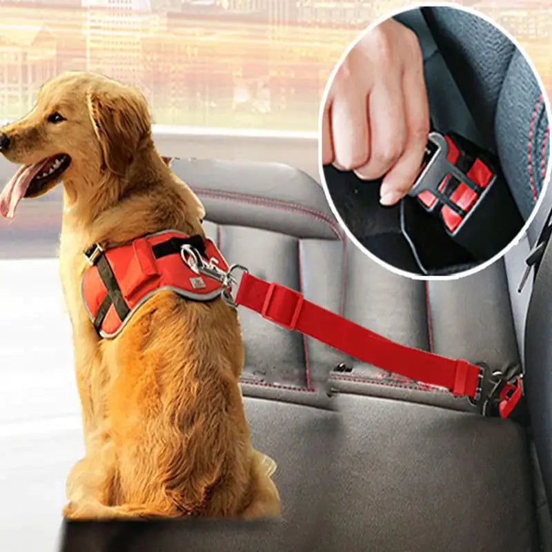 Secure Travels: The Adjustable Dog Safety Seat Belt
