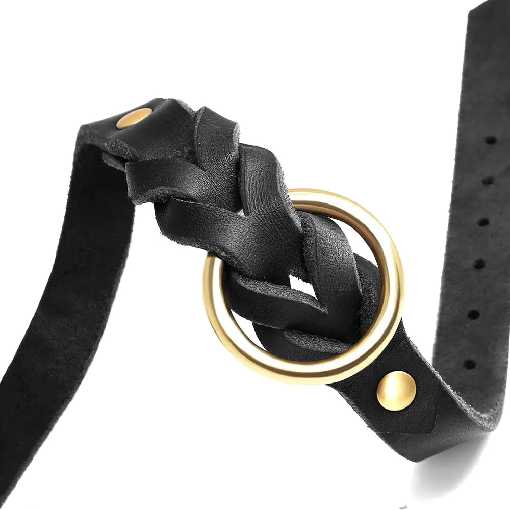 Premium Leather: Genuine Leather Dog Collar and Leash Set for Classic Style