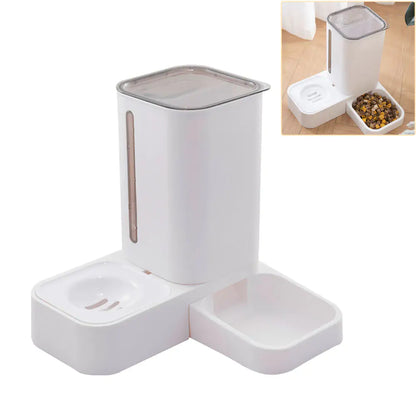 The Automatic Cat Feeder That Cats Love!