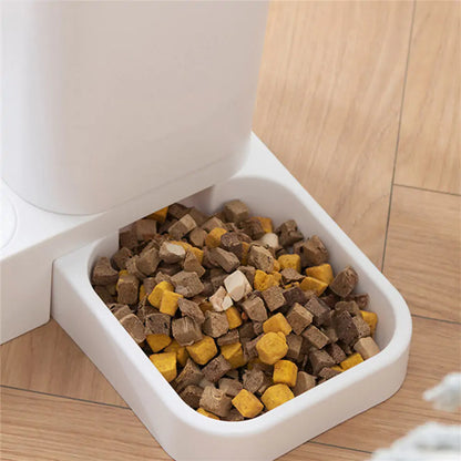 The Automatic Cat Feeder That Cats Love!
