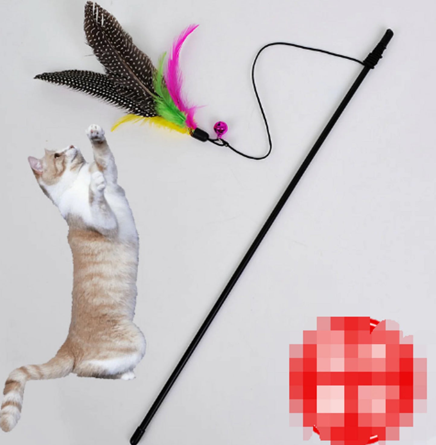 Kitten and Cat Wand With Feathers