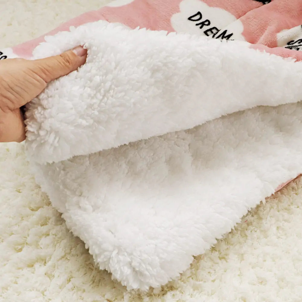 Super Soft Pet Blanket