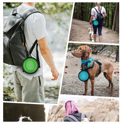 Adventure-Ready: Travel Dog Bowls for On-the-Go Convenience