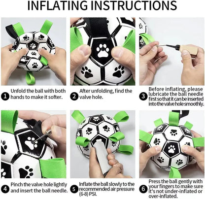 Ultimate Fun: Interactive Dog Ball for Endless Play