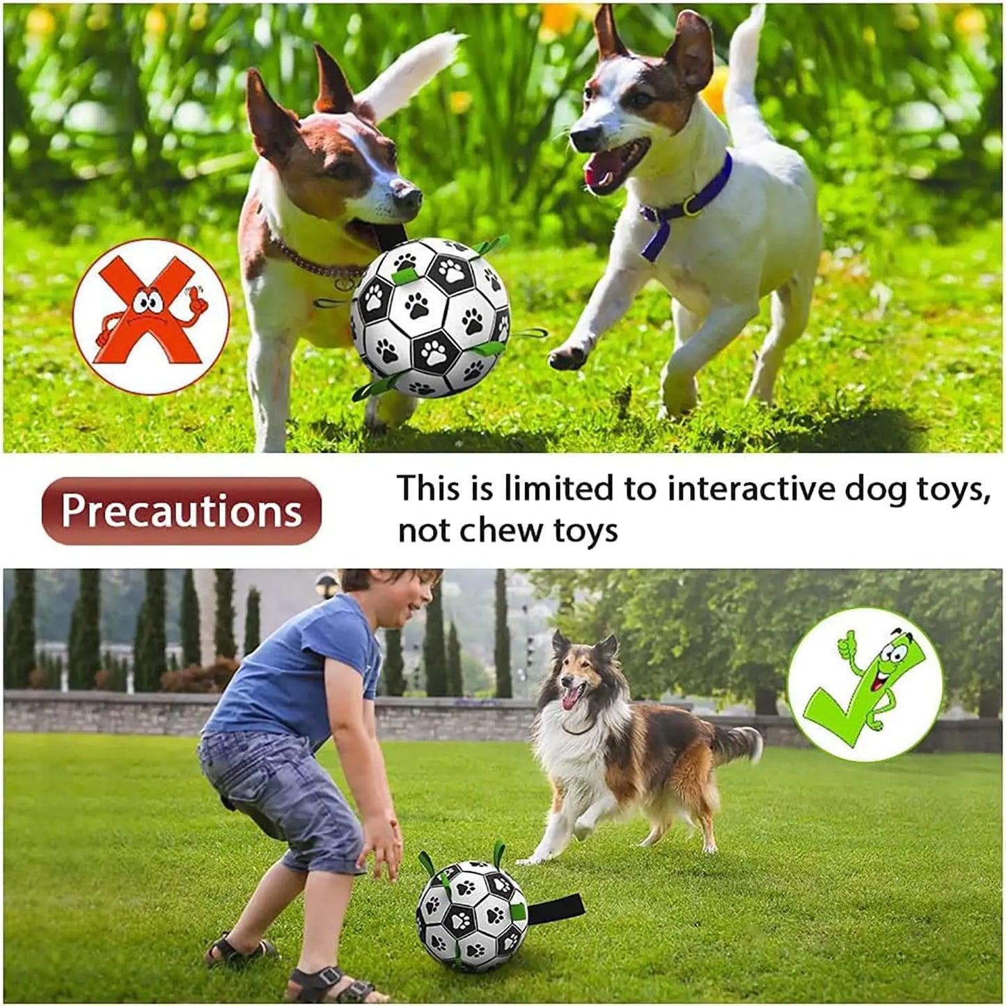 Ultimate Fun: Interactive Dog Ball for Endless Play
