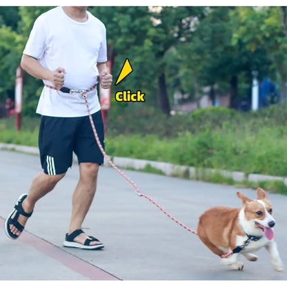 Reflective Dog Training Leash: Safety and Control for Every Walk